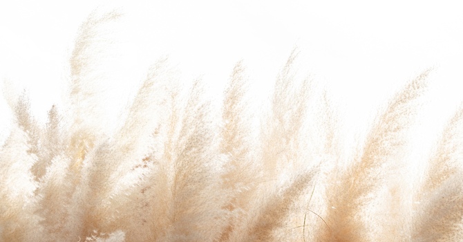 Psychology / Mental Health Assessments